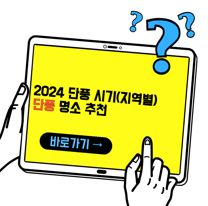 2024 단풍 시기(지역별) 및 단풍 명소 추천