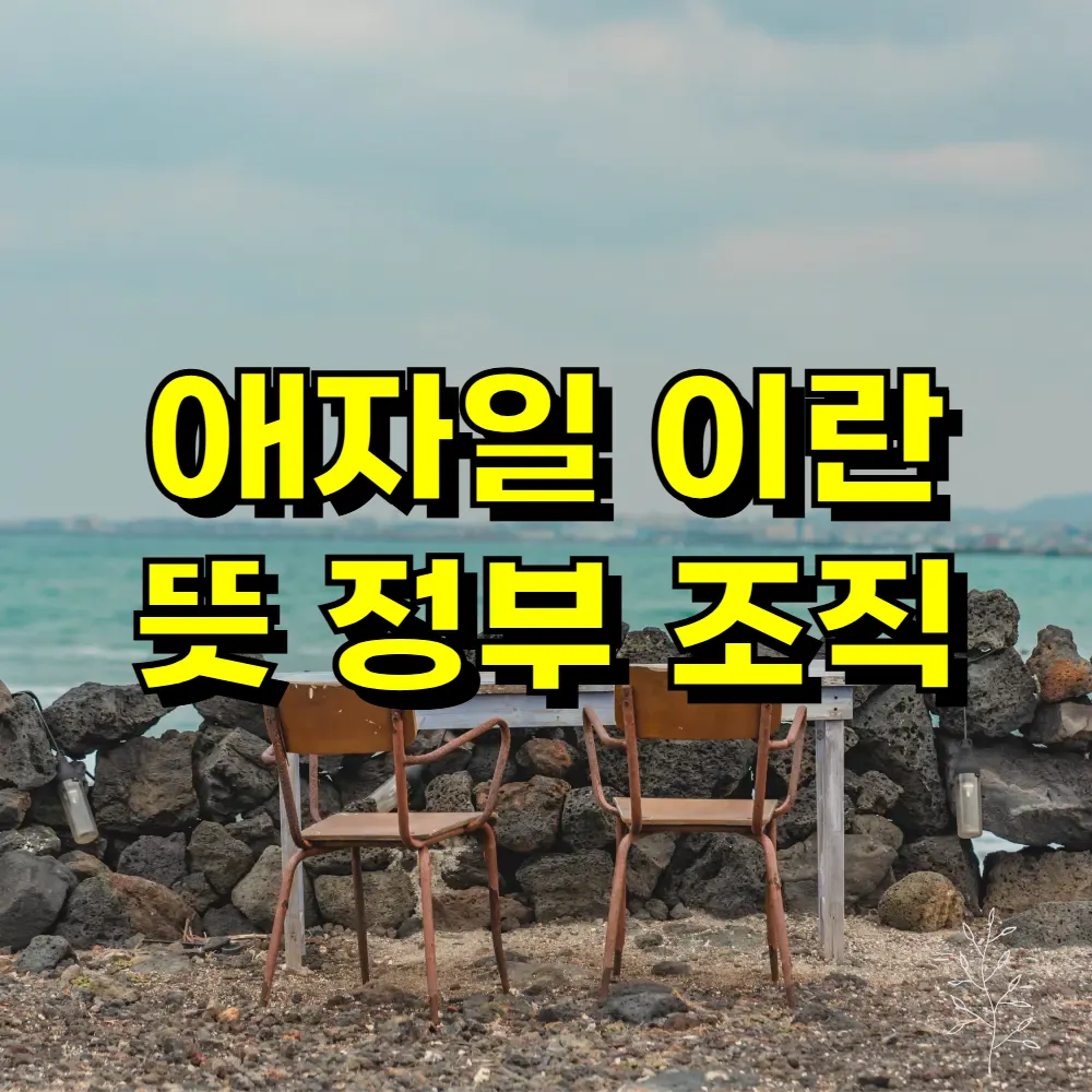 애자일 이란 뜻 정부 조직