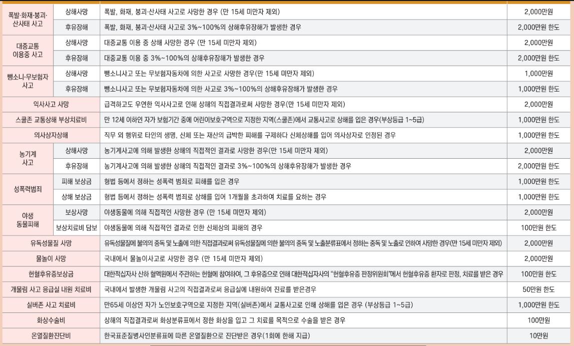 보장내용과 보장금액