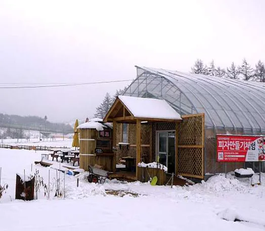 대관령 아기동물체험농장