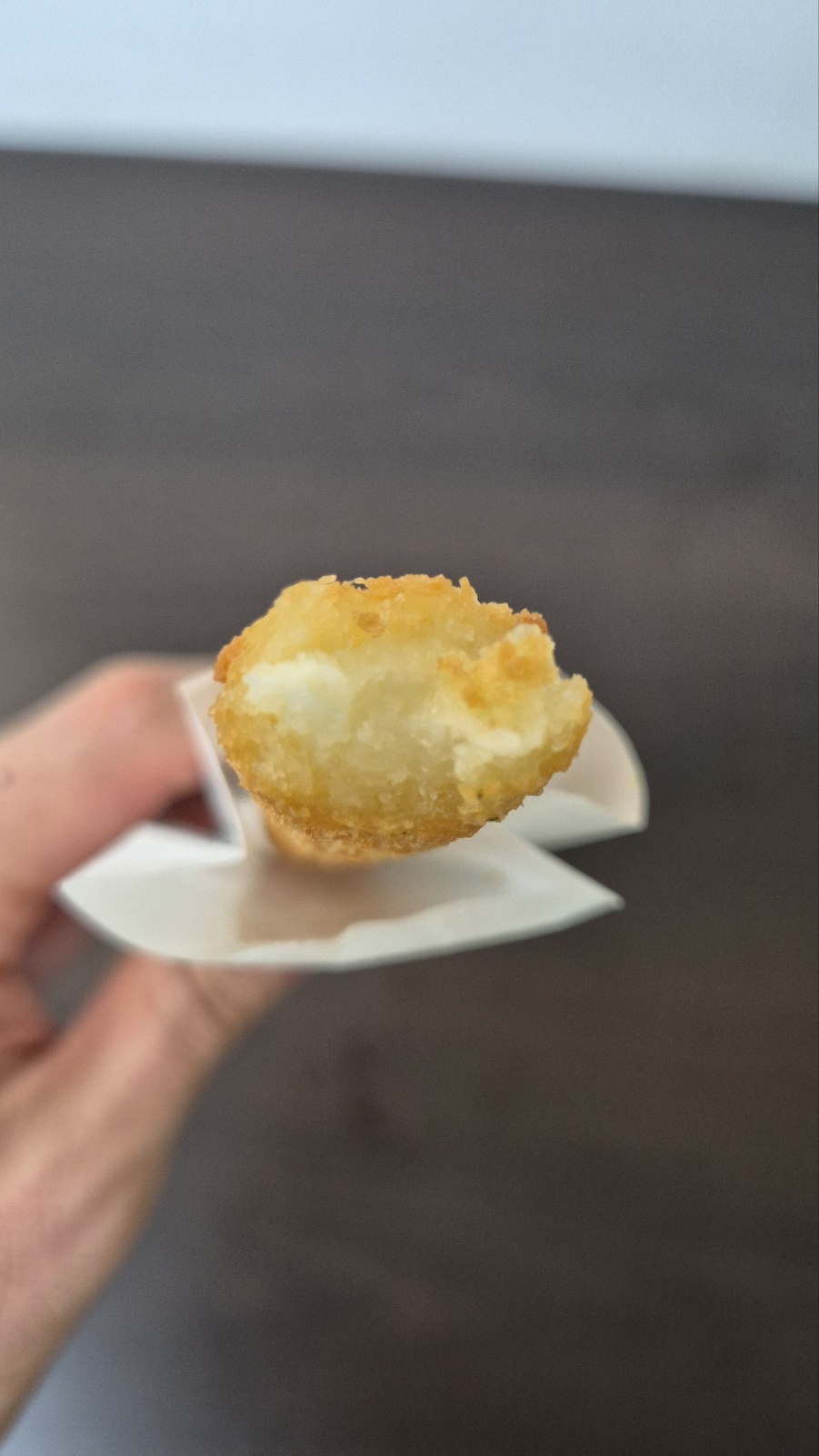 모짜렐라 치즈가 들어가 치즈스틱을 한입먹어보았다.