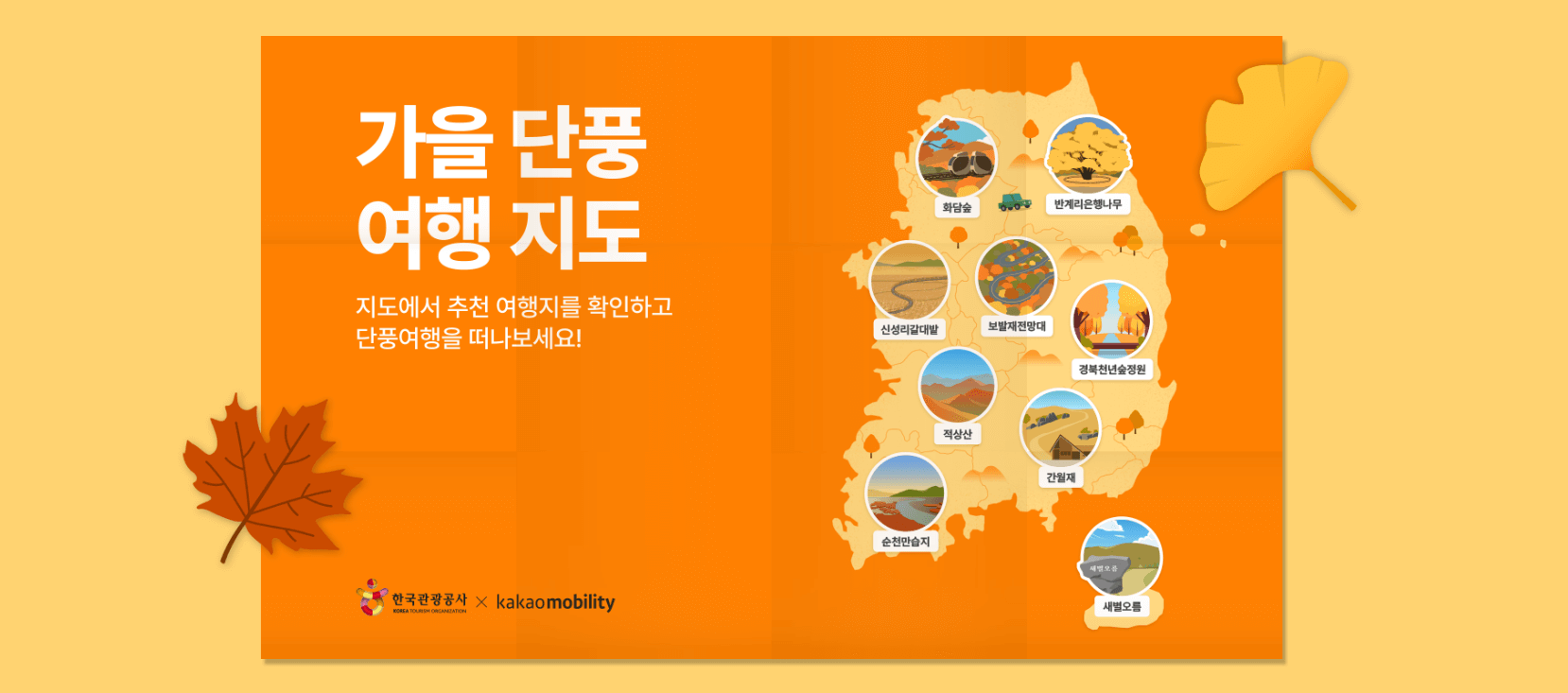 10월 국내 여행지 추천 2024 단풍 국내 여행지 추천 가을꽃 명소