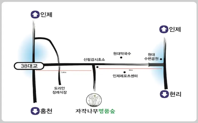 인제 자작나무숲 가는 길