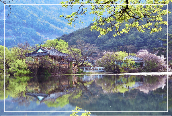 밀양 위양지 이미지 / 출처: 대한민국 구석구석