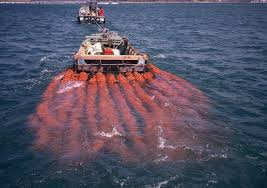 창립 30주년 기념식 및 멍게 소비촉진 행사 기본일정 및 프로그램 소개 (설하윤 출연)