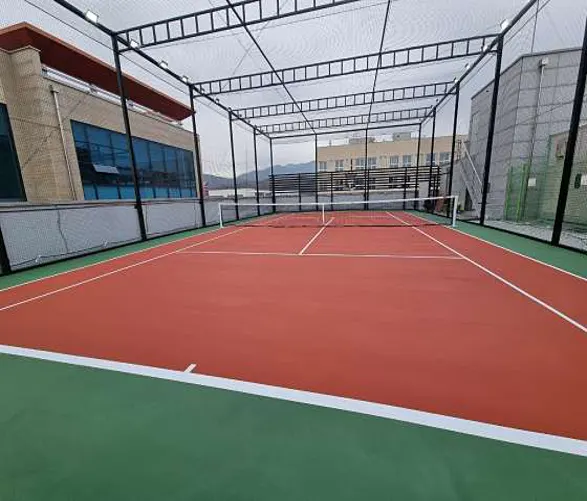 프로테니스 아카데미