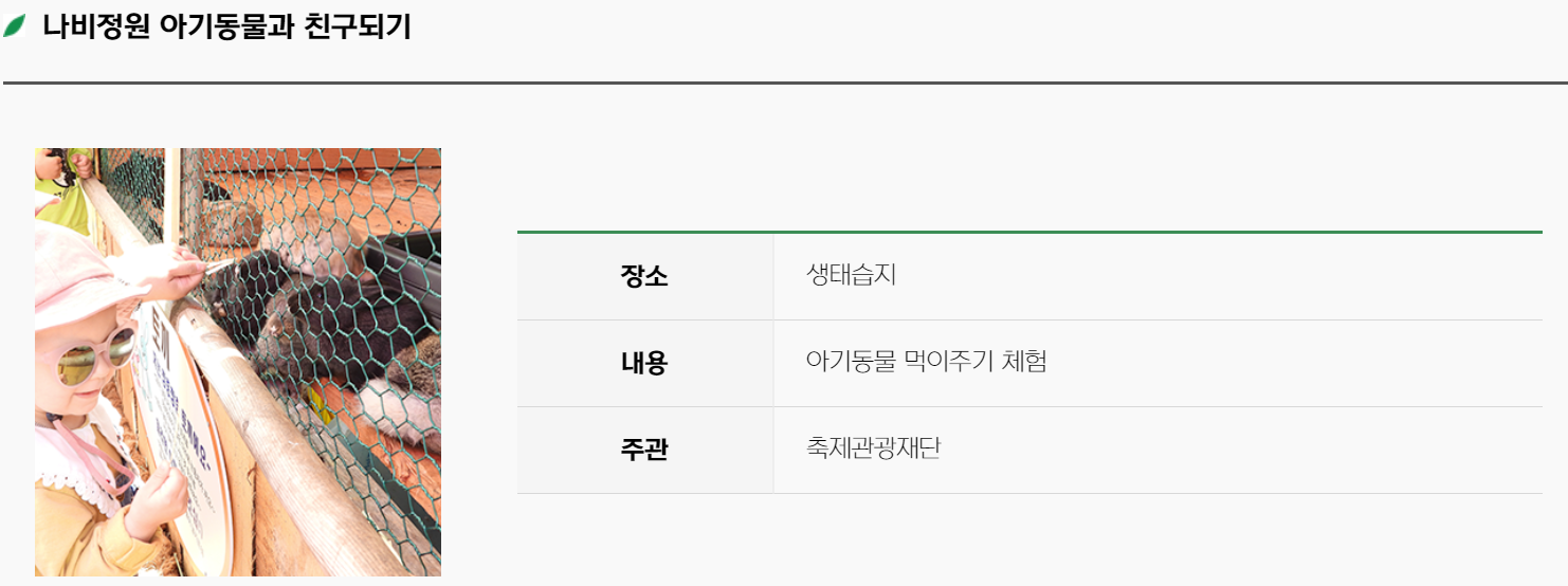함평 나비축제