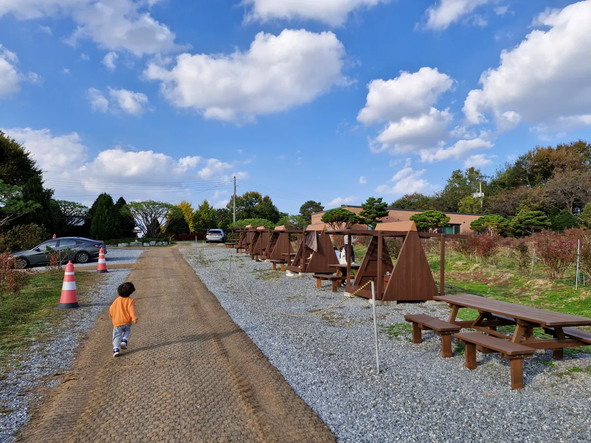 블루베리-농장-자갈밭-위에-있는-의자와-벤치들