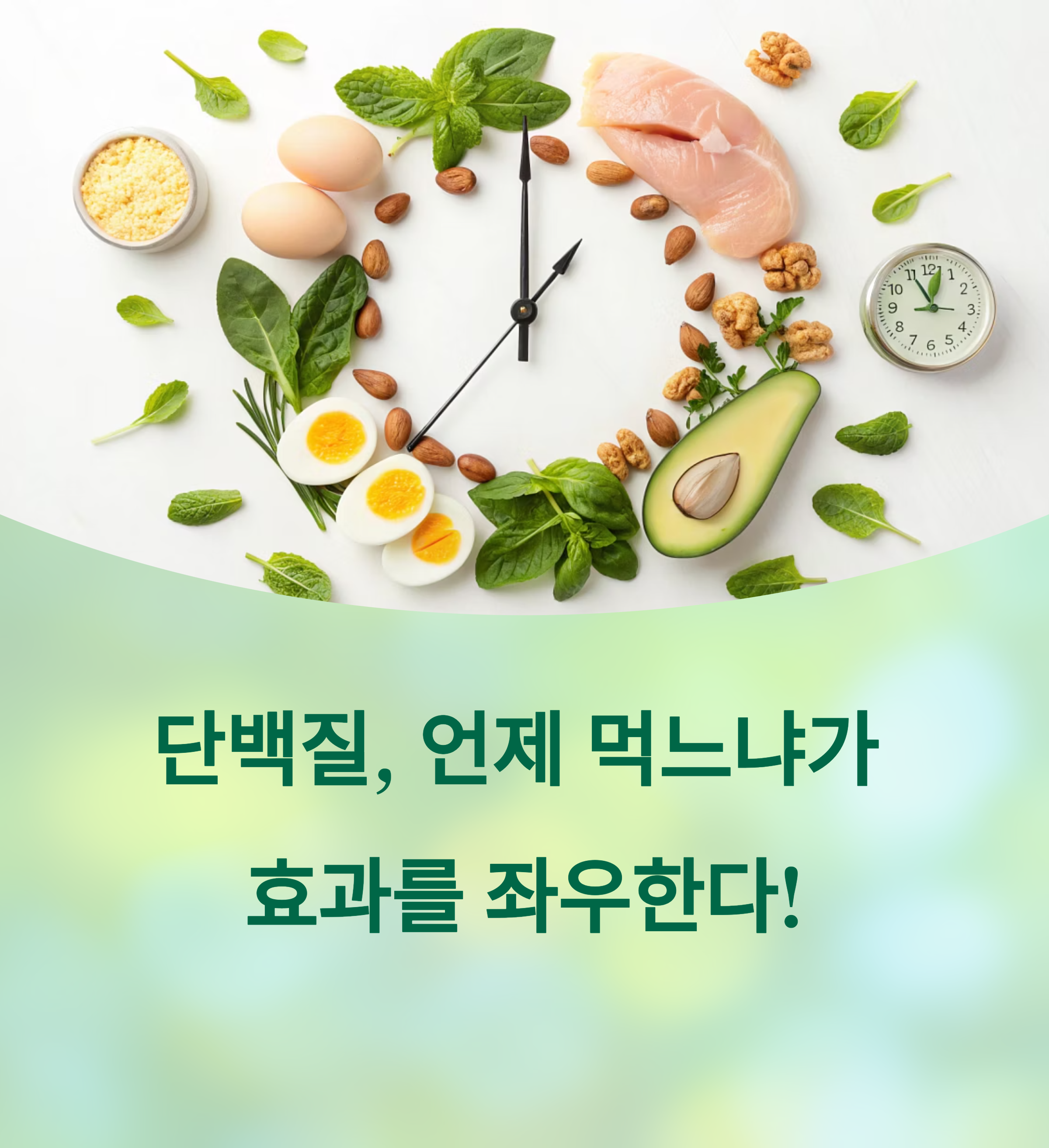 단백질, 언제 먹느냐가 효과를 좌우한다! 에 대한 이미지