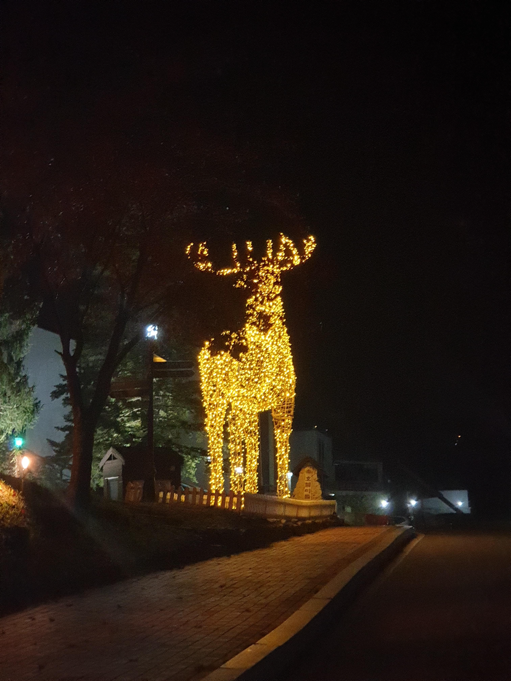 캄캄한 밤 유일하게 빛나는 커다란 사슴 모형 조명
