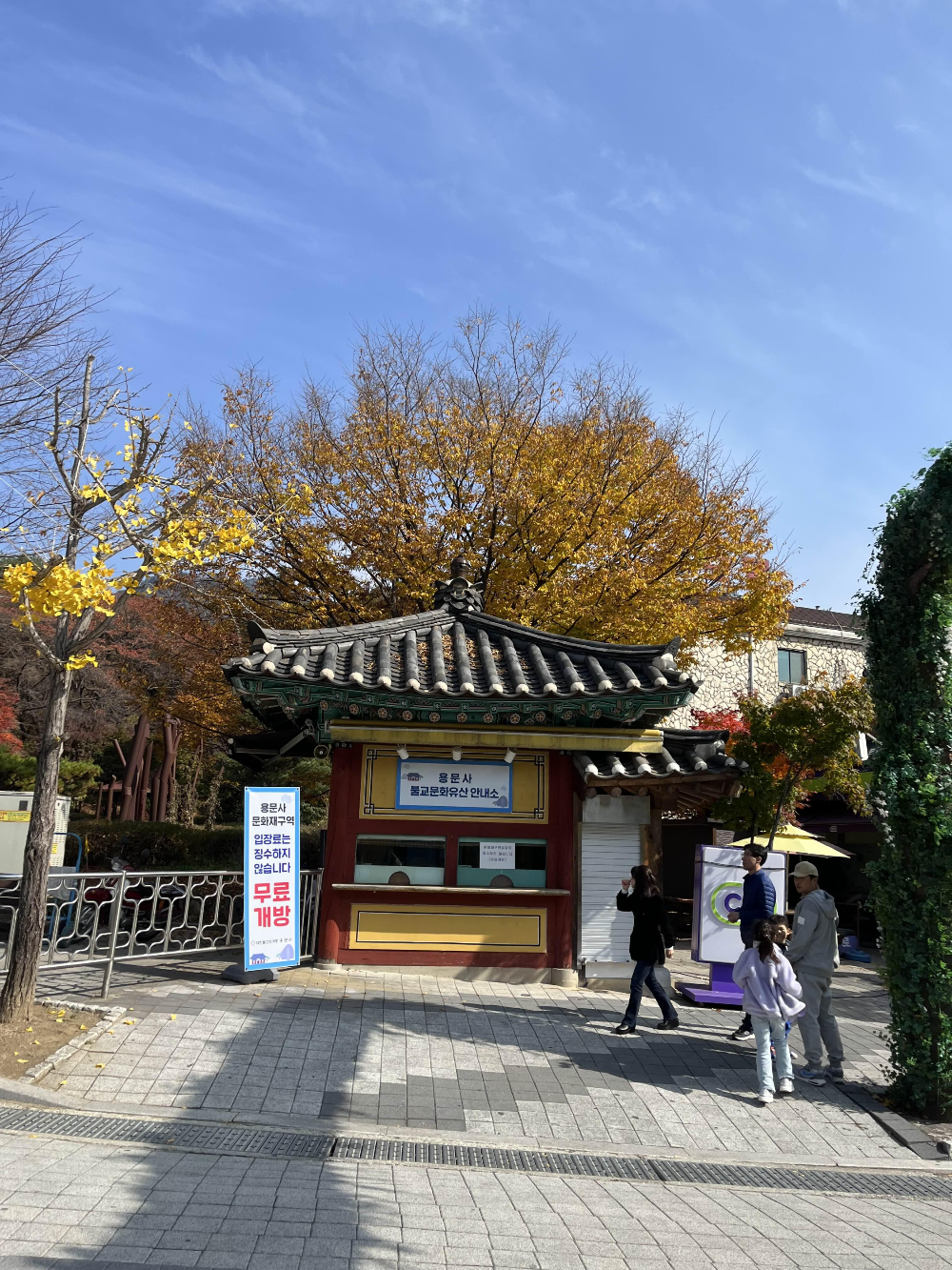 단풍명소 용문사