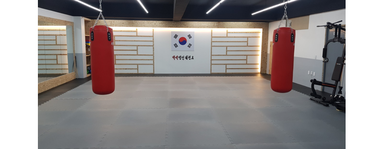 고양 일산동구 태권도장