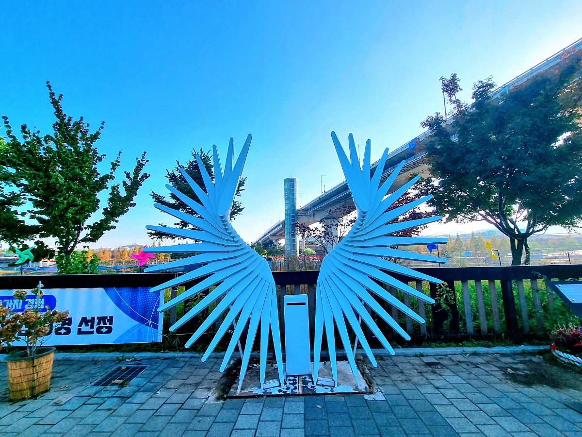 2024 인천 계양 아라온 가을꽃 전시회, 국화 축제(~11.10.): 야경, 아라뱃길, 전통놀이 체험