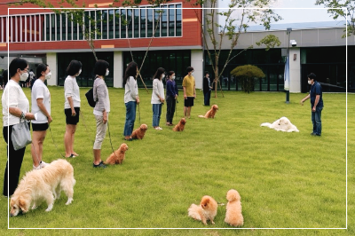 대전 반려동물공원 이미지