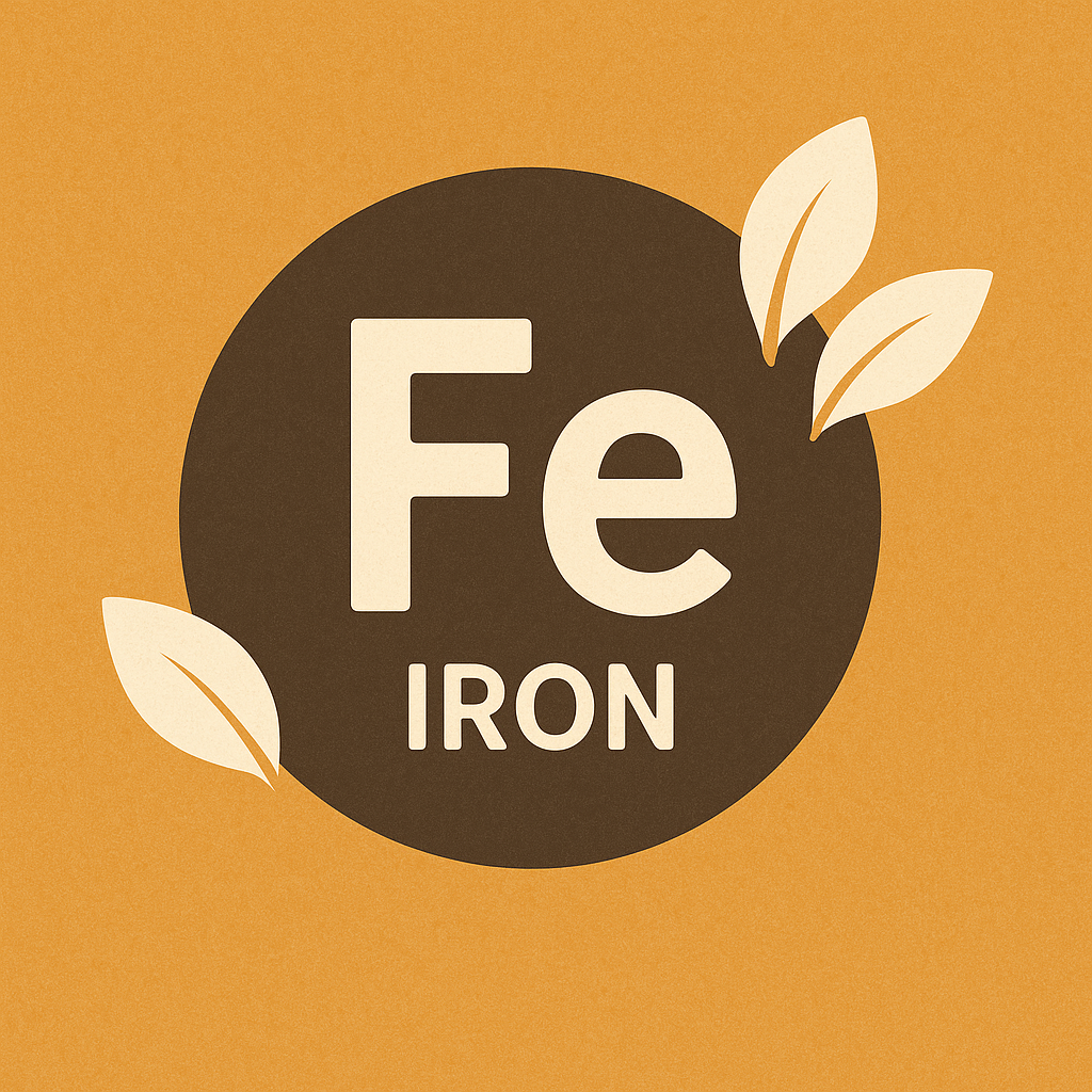 철분 IRON FE 사진