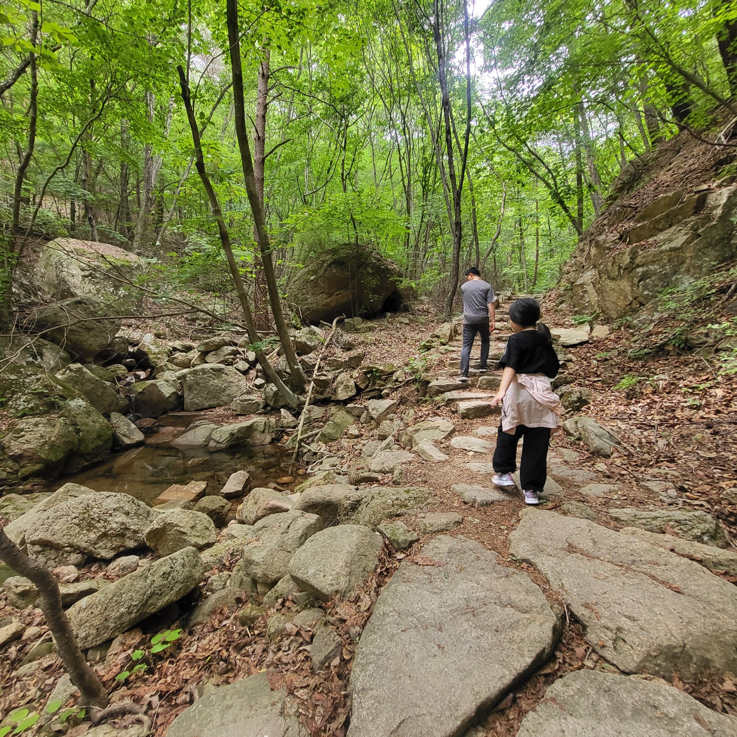 속리산 문장대(아이와 등산하기)