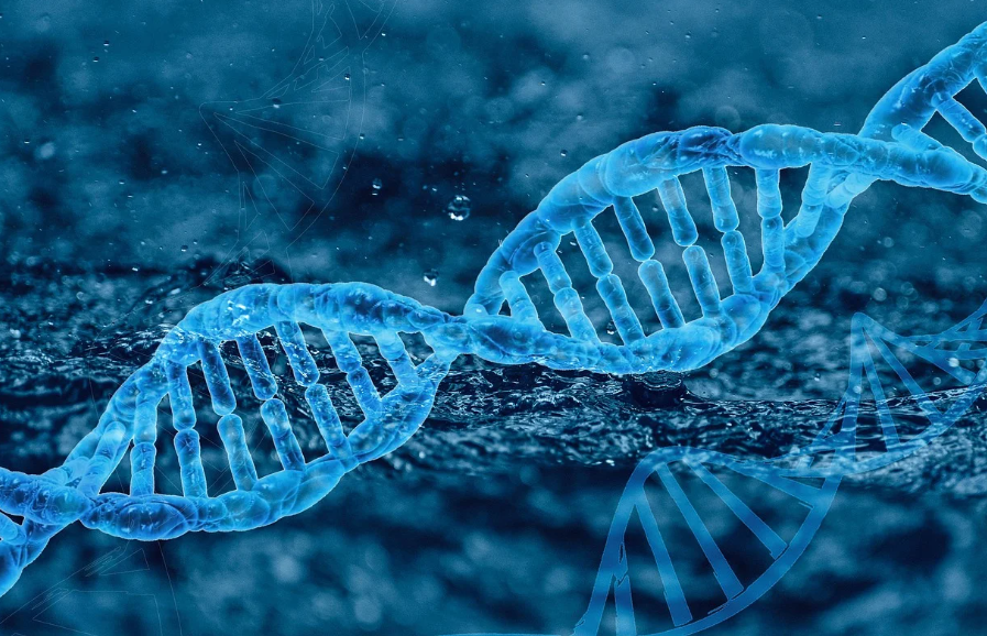 혈우병 관련 사진