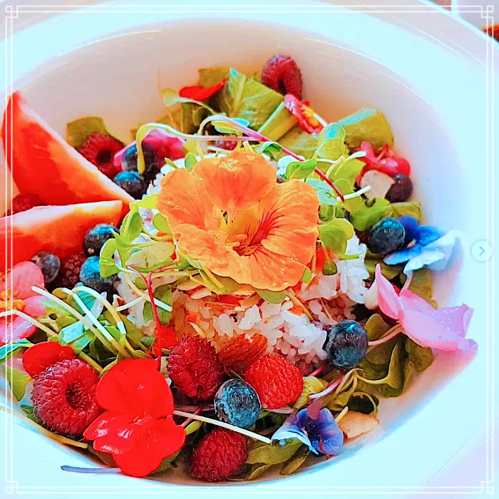 생방송 오늘저녁 가볼만한 곳, 거창 디저트 카페, 유기농 복분자, 블랙베리, 블루베리, 산딸기, 아로니아 빙수, 젤라또, 스무디 맛집