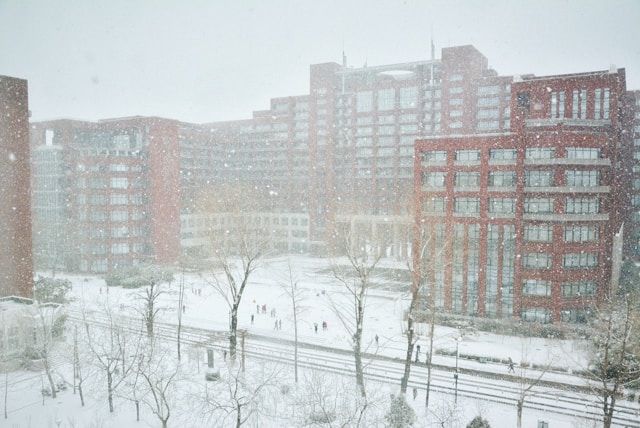 대설특보 지하철 지연증명서 발급 1분 해결