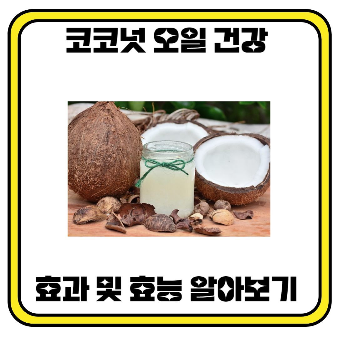 코코넛 오일 건강 효과 및 효능 알아보기