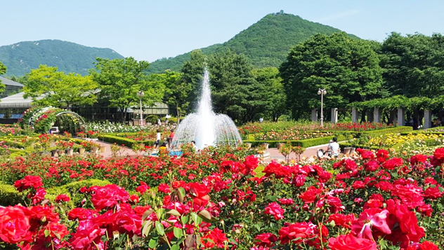 인천대공원 반려견 놀이터