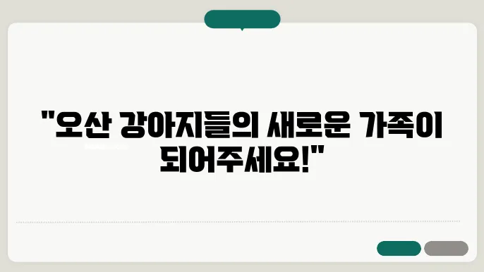 강아지보호소 건주의 번역