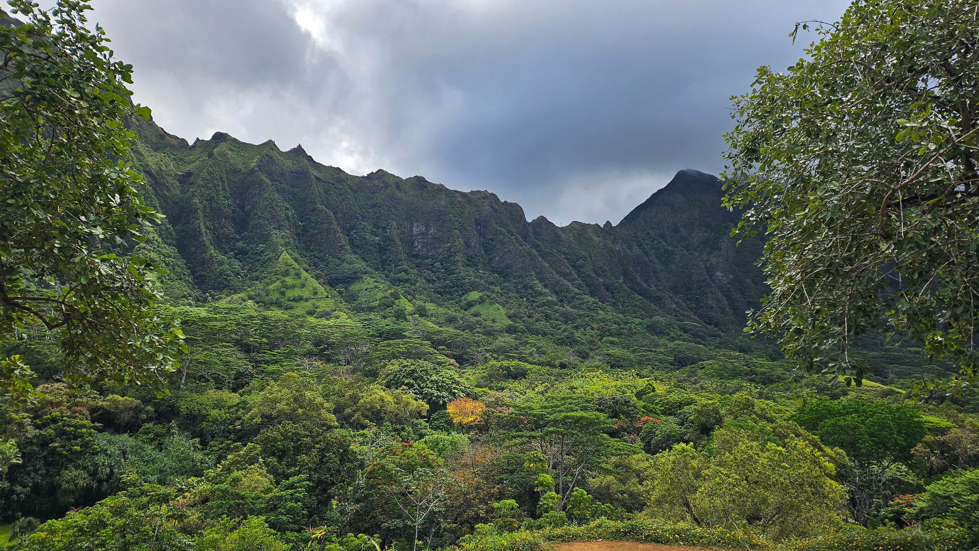 하와이노팁택시투어