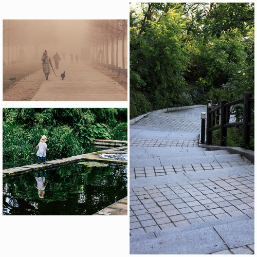 15분 걷기의 즉각적인 효과 : 당장 외출해야 하는 이유!