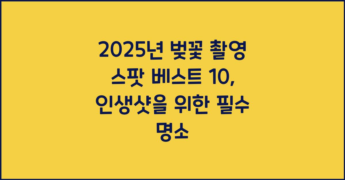 벚꽃 촬영 스팟 베스트 10