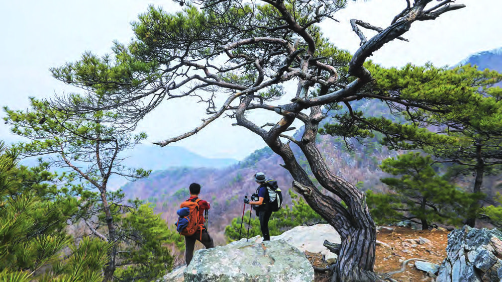 동봉 전망대