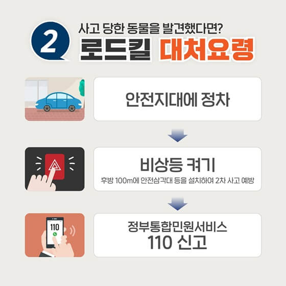 로드킬대처