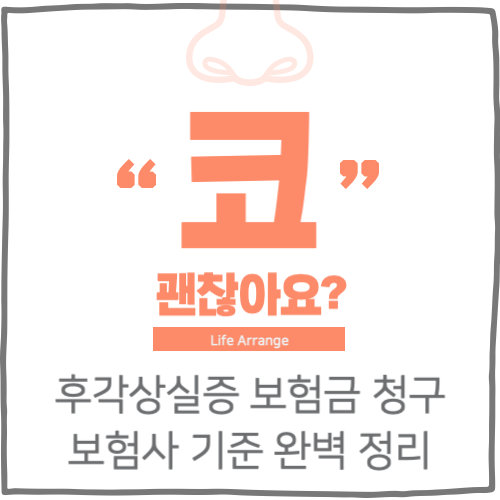 후각상실증 보험증 청구 가능