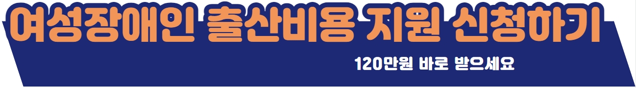 배너2