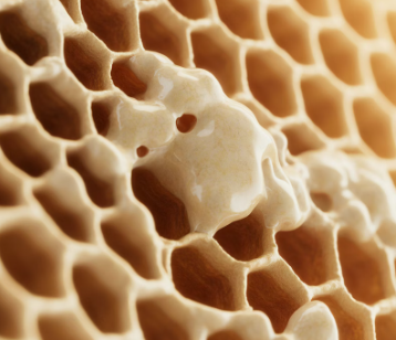 프로폴리스 효능