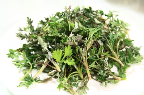 생리통에 좋은 차