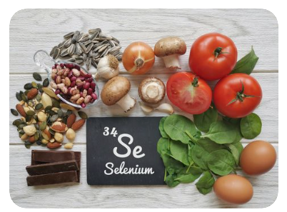 셀레늄-풍부한-음식