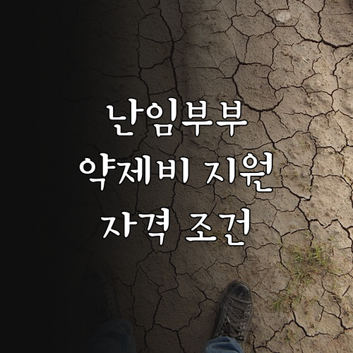 2025년 성북구 난임부부 약제비 지..