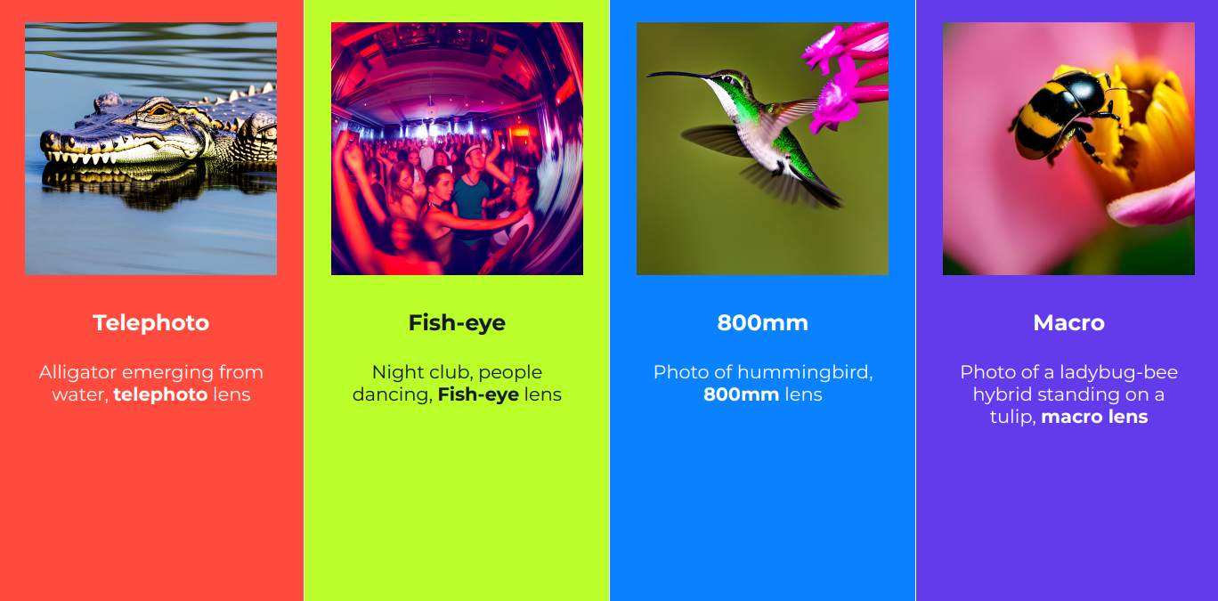 렌즈 종류에 따른 예 - 망원, 어안, 800mm, 매크로