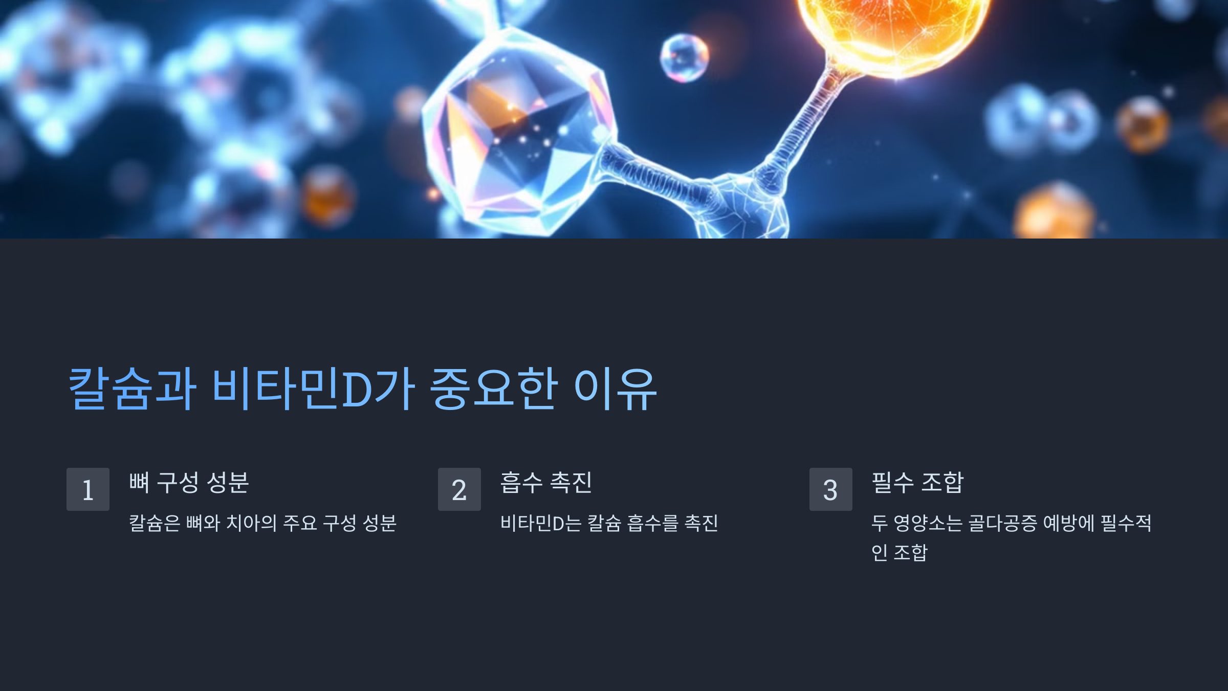 골다공증 사진