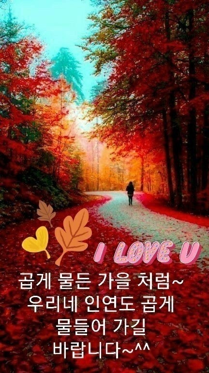 곱게 물든 가을 처럼~