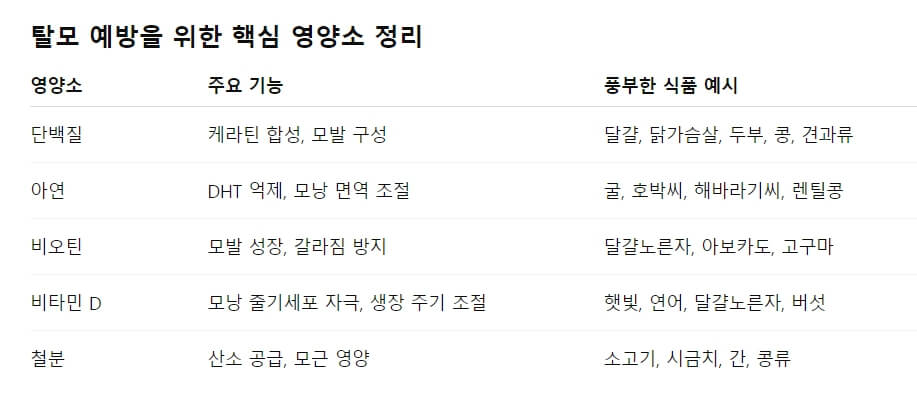 탈모 예방을 위한 핵심 영양소 정리