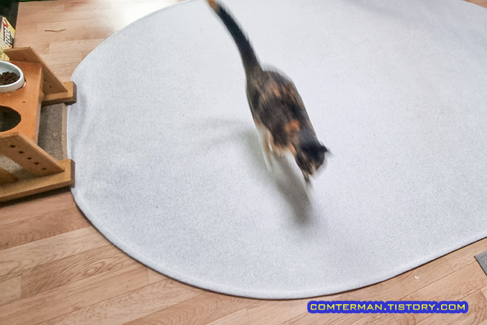 펫코지 펫러그 고양이 뚜기