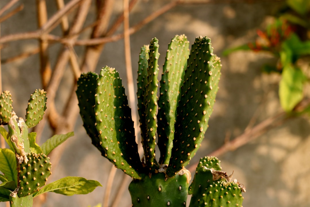 Plantarfasciitis