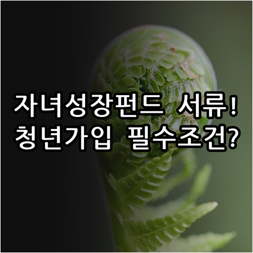 국민성장펀드 자녀 명의 가입 서류와 ..