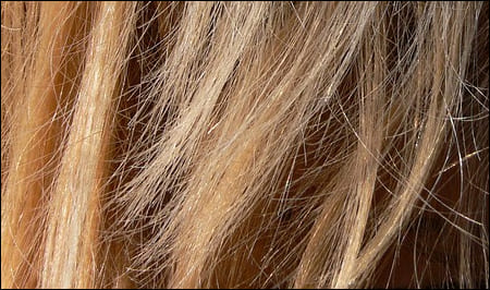 손상이 많은 염색모