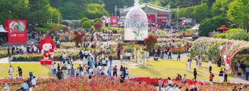 울산대공원_장미축제