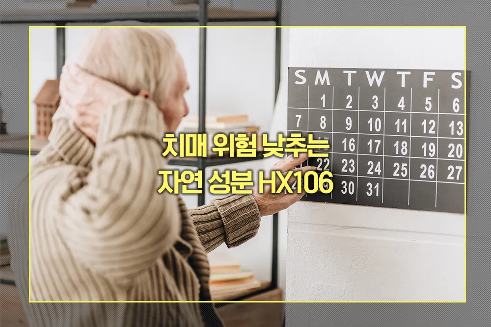 치매 위험 낮추는 HX106 특징
