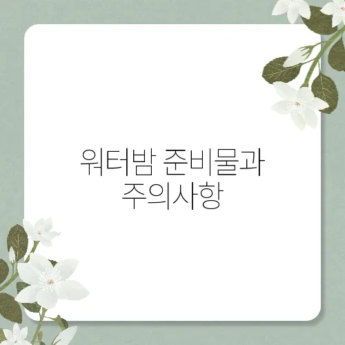 워터밤 준비물과 주의사항