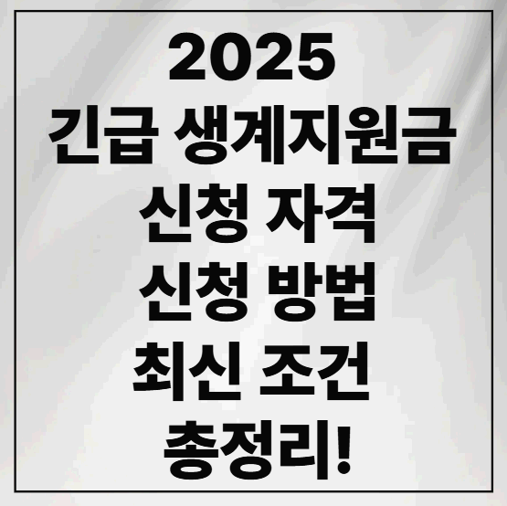 2025 긴급 생계지원금 신청 자격, 신청 방법 및 최신 조건 총정리!