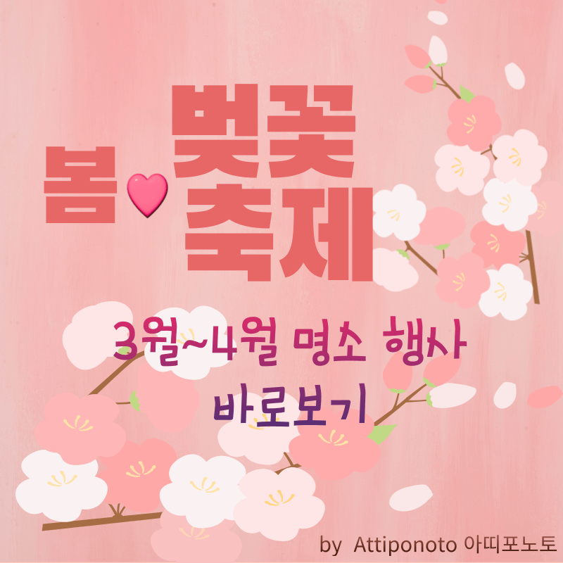 봄 벚꽃 축제 소개 .아띠포노토 attiponoto